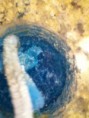 /album/check-out-mr-koalas-epsom-salt-crystal-/a015-jpg/